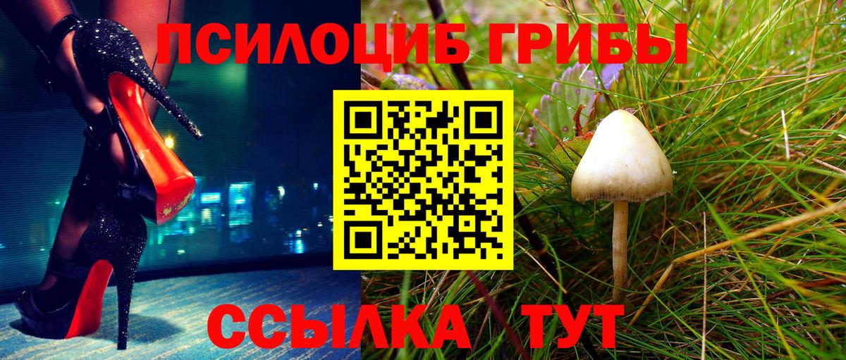 Сланцы  Псилоцибиновые грибы MAGIC MUSHROOMS  Вход с VPN 